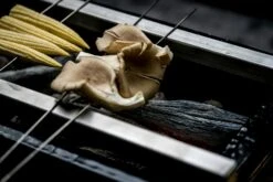 Yakiniku Shichirin Keramikgrill -Broil King Geschaft 800800 800801 500508 Yakiniku Shichirin 17