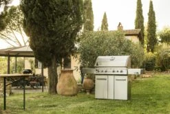 NAPOLEON LEX 605 Gasgrill Edelstahl -Broil King Geschaft NAPOLEON LEX 605 Edelstahl 9