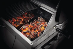 NAPOLEON Charcoal Professional, Edelstahl -Broil King Geschaft PRO605 charcoal inuse