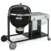 Weber Summit Charcoal Grill Center