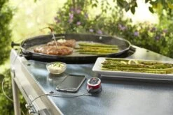Weber IGrill Mini (7220) -Broil King Geschaft Weber iGrill mini 2
