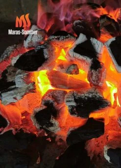 Big Green Egg Woody Holzkohle Aus Buchenholz 10 Kg -Broil King Geschaft bge 0724943369085 Buchenholzkohle 2048x2048