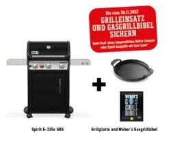 Weber Spirit E-325S GBS